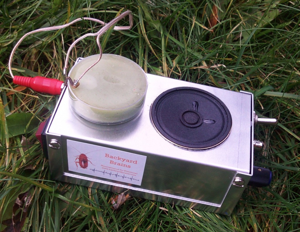 ByB has First Sale, First Field Test!