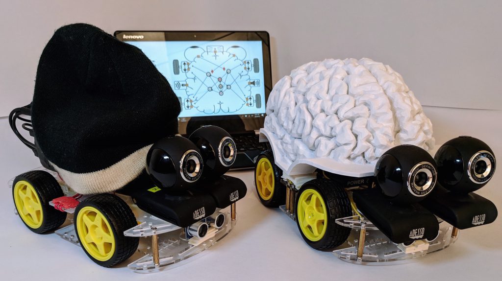 Neurorobot: Scientific Paper Published