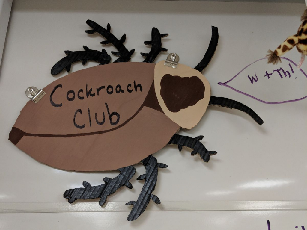 Meet us after school for Cockroach Club