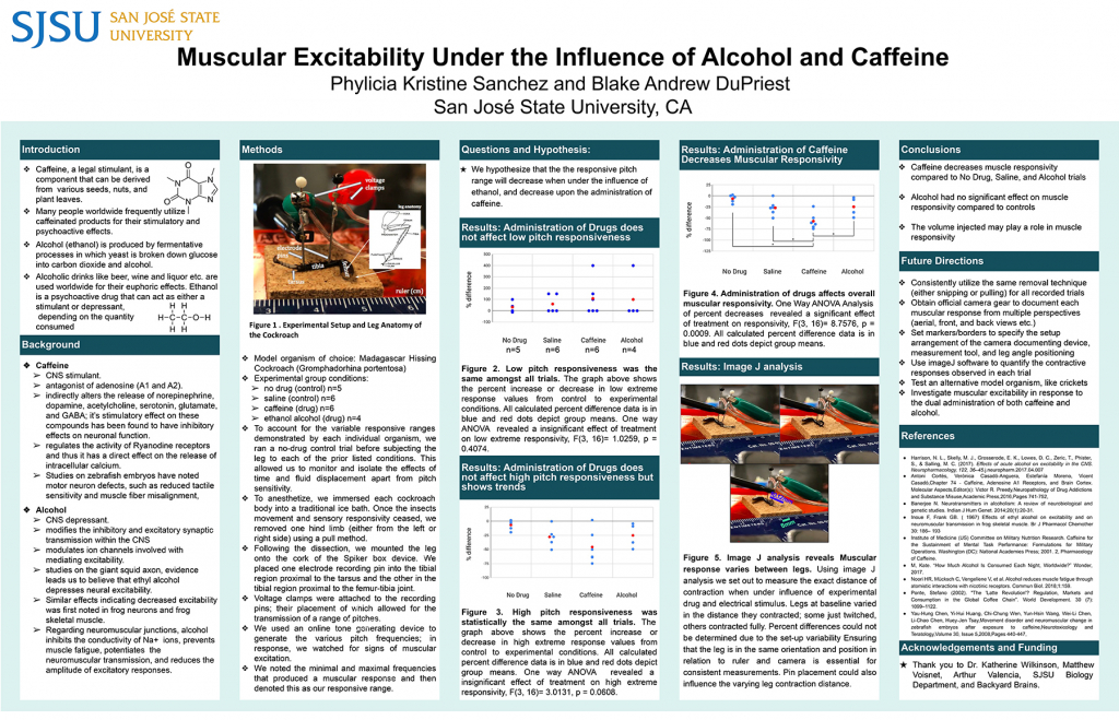 SJSU Graduating Seniors Compete for Best Poster Award in Neuroscience Lab