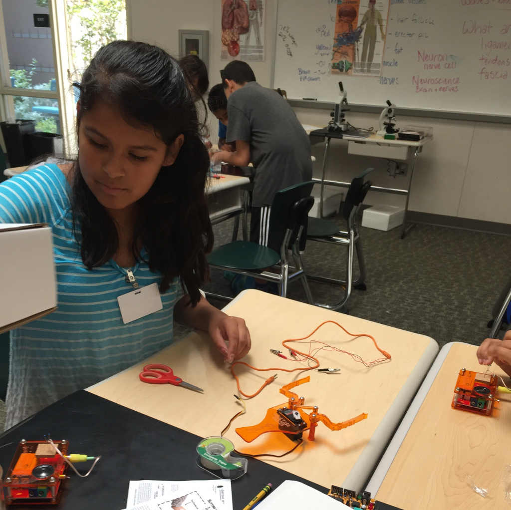 Rio Schools Students Love their SpikerBoxes and Claws!