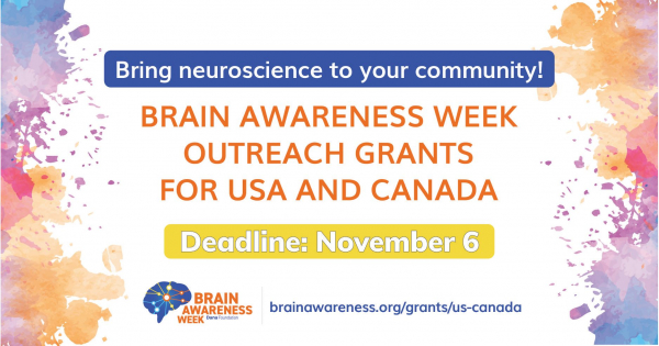 Apply Now for Brain Awareness Week Outreach Grants - Cerebrate the Brain!