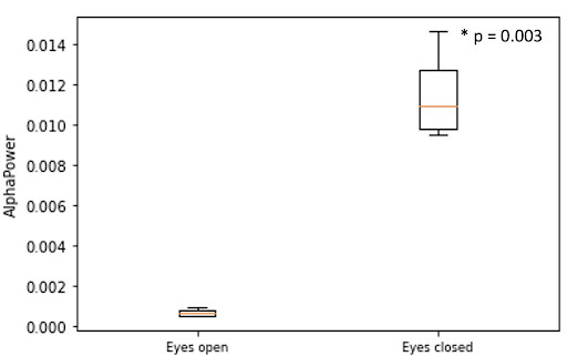 alpha wave power in visual cortex EEG