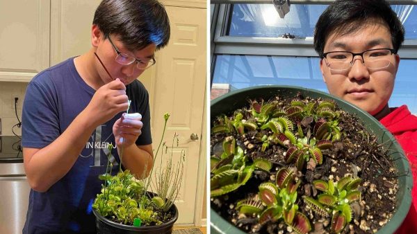 High Schooler Named Regeneron Science Talent Search Scholar for His Venus Flytrap Project w/ Plant SpikerBox