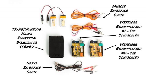 wireless human-human interface specifications