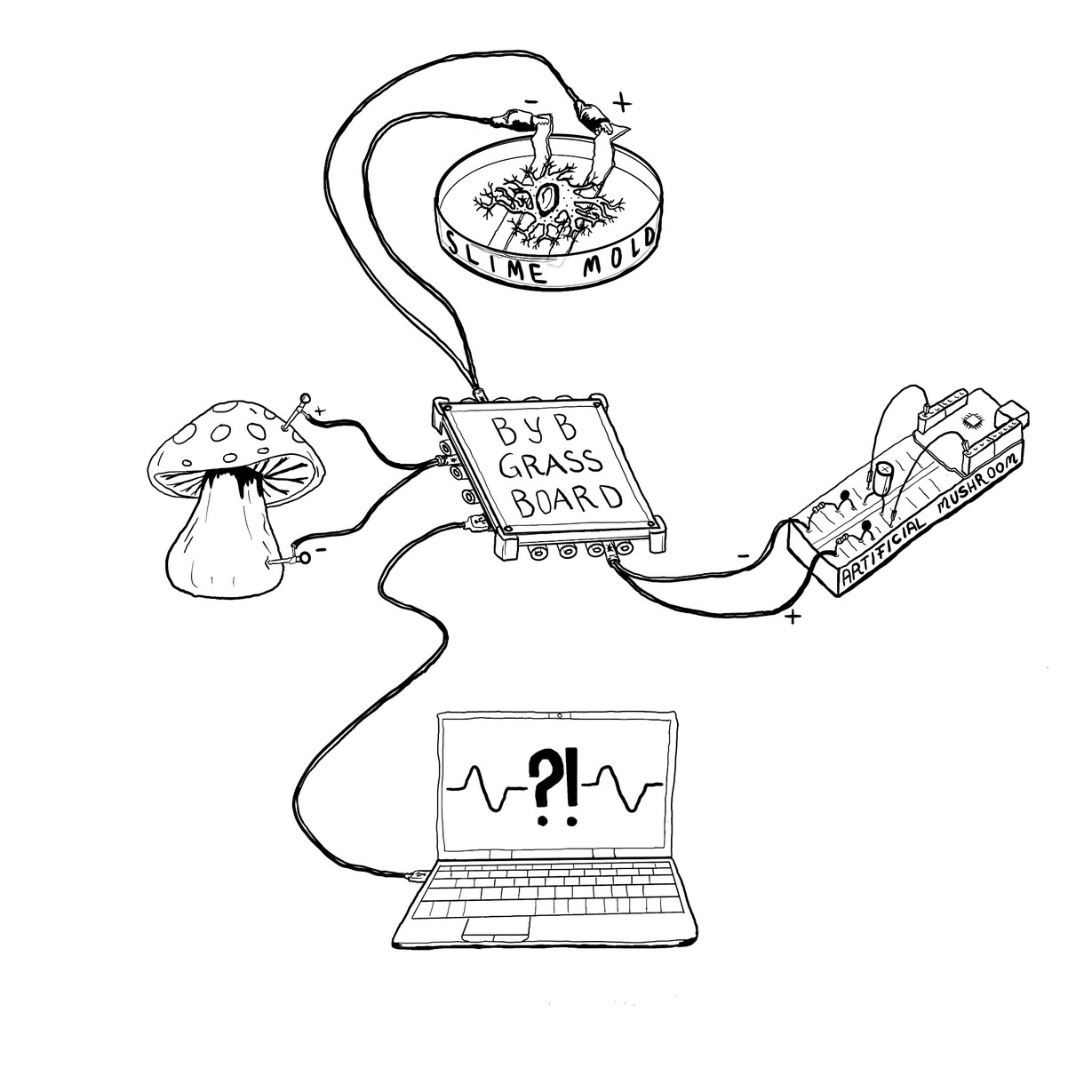 Back to the Fun-gi: What Mushroom Action Potentials Have Taught Us