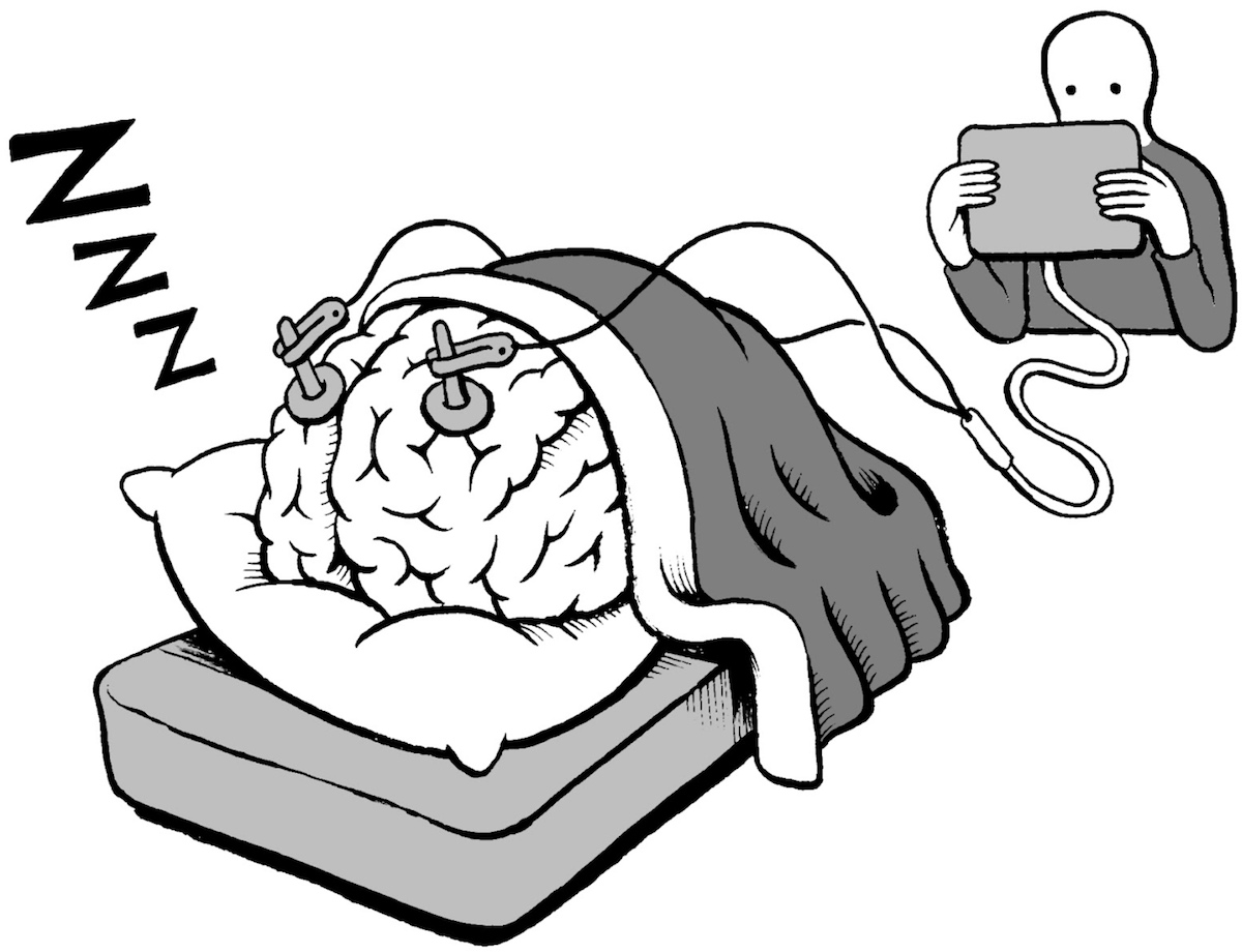 Sleeping brain EEG