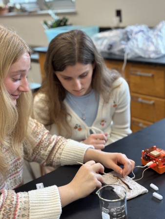 A Teacher, His Students, and AI Revived SpikeHound. Now Anyone Can Extend It.